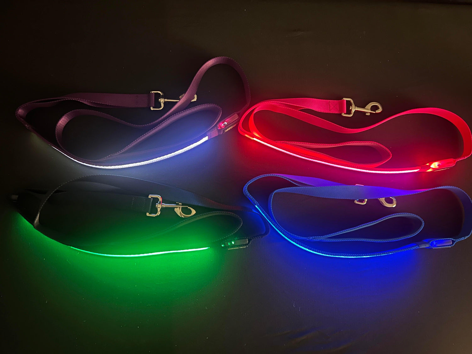 All 4 Color Light Up Leashes Best and Brightest LED Dog Leashes k9ightlights Pet Supply Store