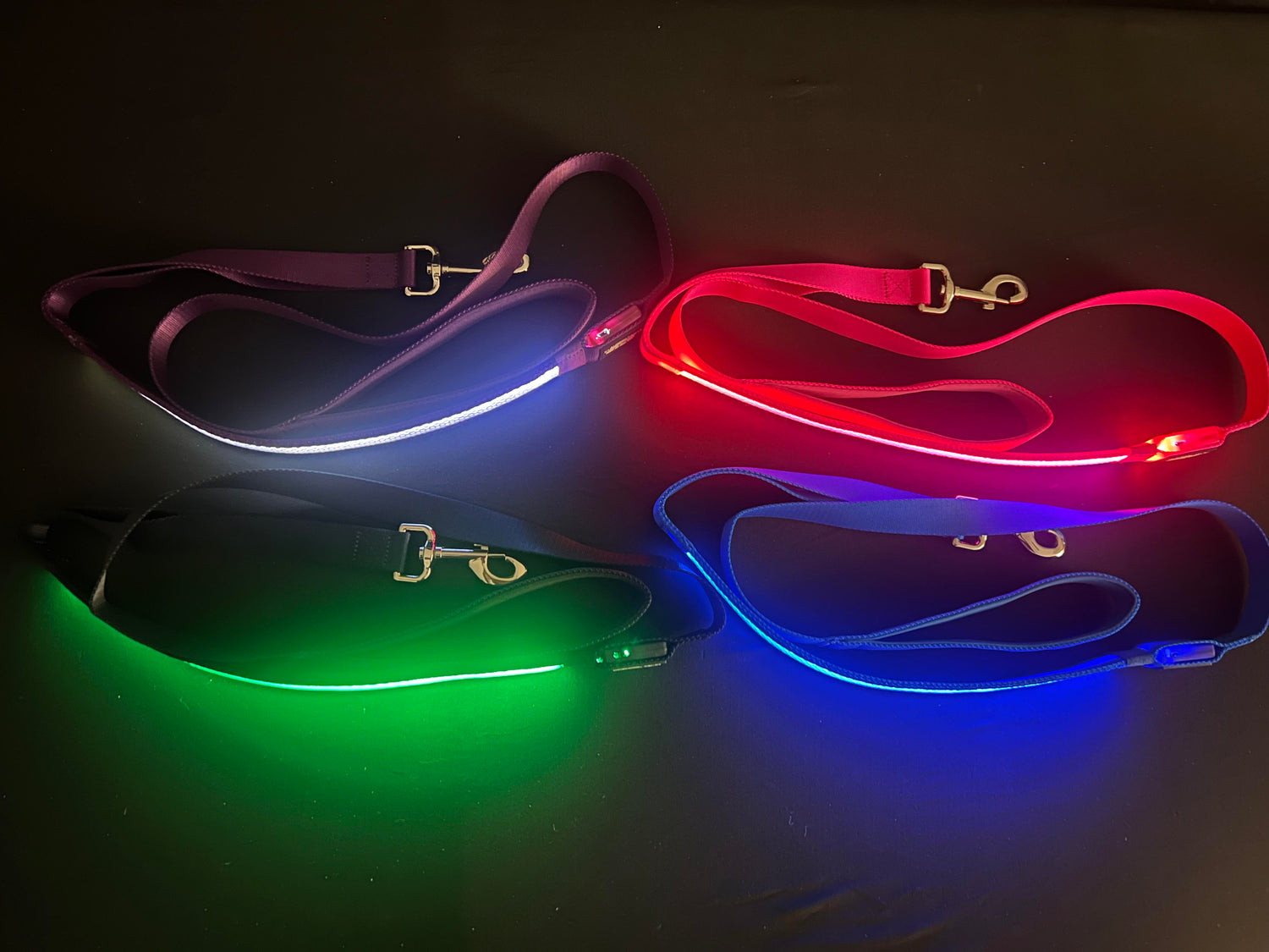 All 4 Color Leashes Best and Brightest LED Dog Collars k9ightlights Pet Supply Store