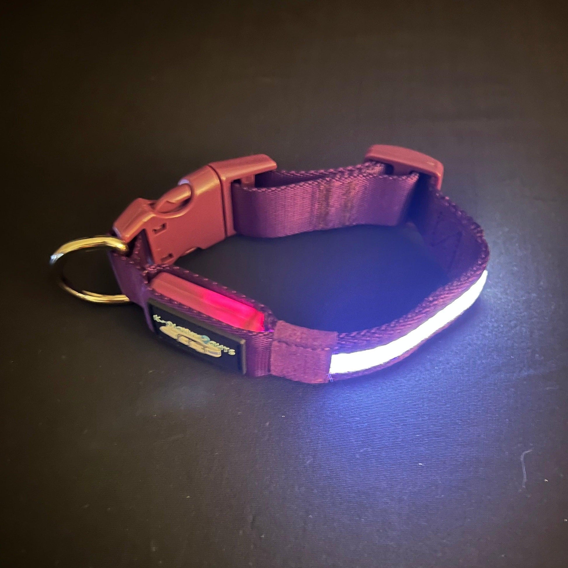 Purple Collar Best and Brightest LED Dog Collars k9ightlights Pet Supply Store
