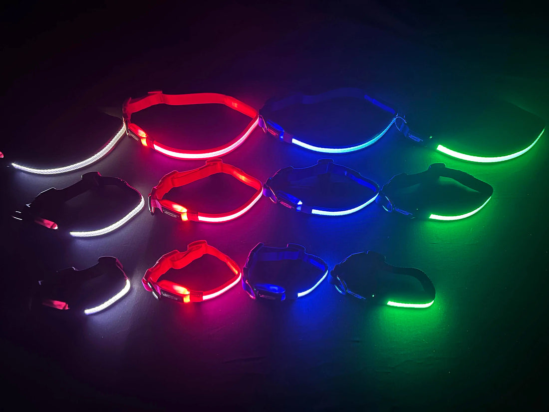 All Collar Lights in Pitch Dark: Purple, Pink, Blue, Green Color LED Dog Collars