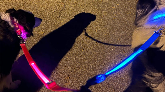 Illuminating Safety: Enhancing Nighttime Adventures with K-9ightLights LED Dog Collars and Leashes