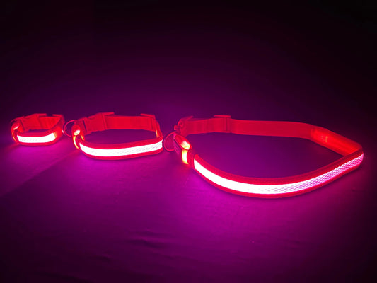Pink Collar Small Medium Large Sizes Best and Brightest LED Dog Collars k9ightlights Pet Supply Store