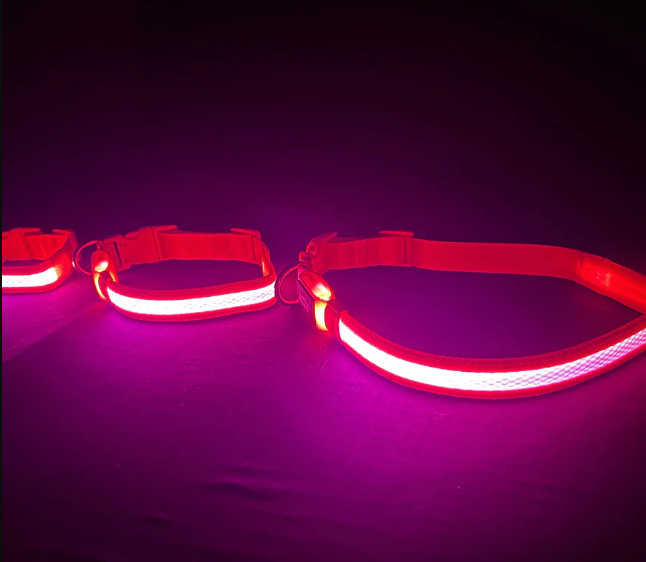 Safety & Style: Light-Up Dog Collar by K-9ight Lights