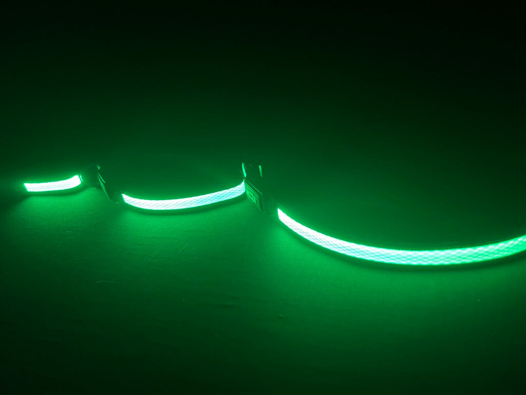 Green LED Light Up Dog Collar