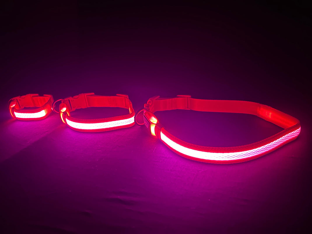 The 1 Light Up LED Dog Collars & Leashes K9ightLights L.L.C.