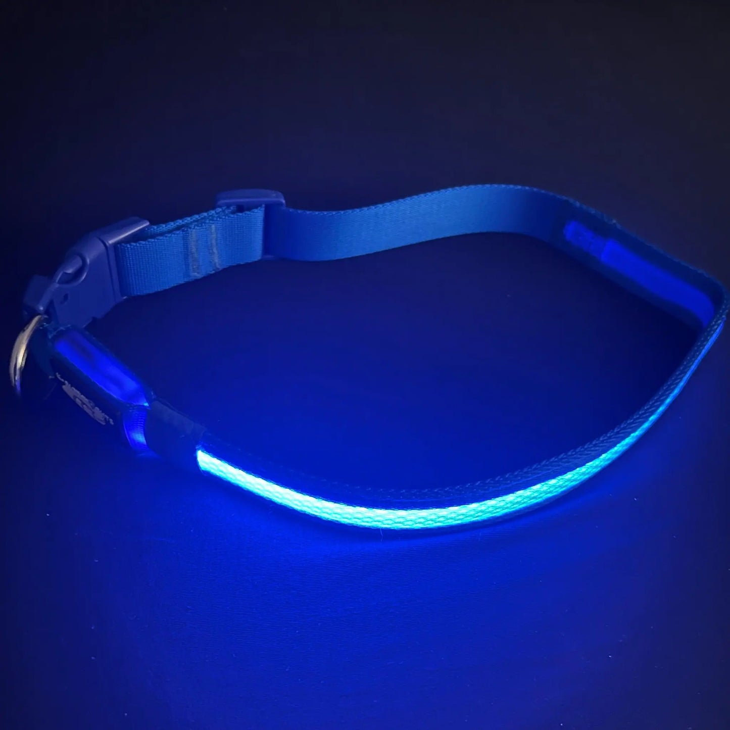 Blue Collar Best and Brightest LED Dog Collars K-9ightLights Pet Supply Store