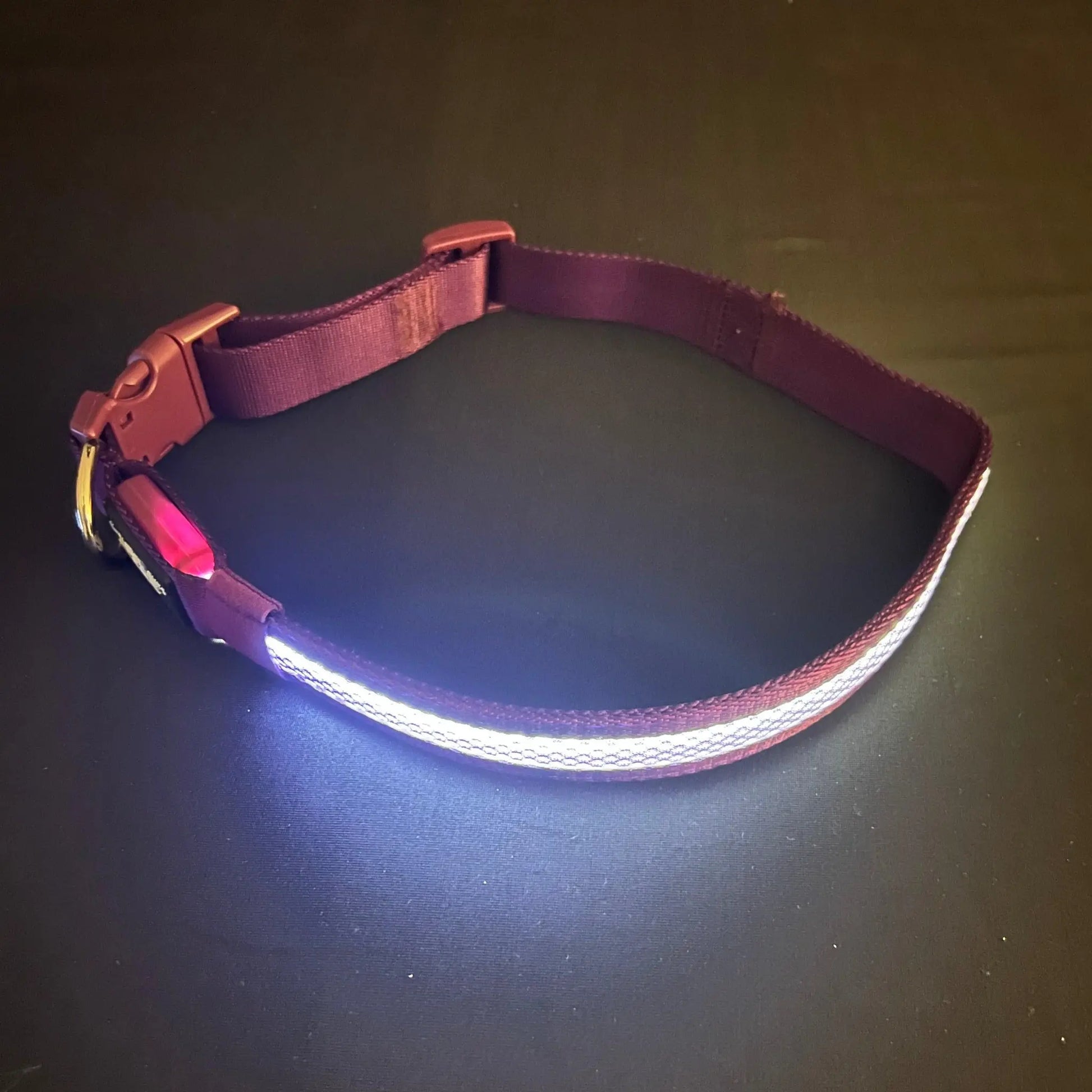 Purple Collar Best and Brightest LED Dog Collars K-9ightLights Pet Supply Store