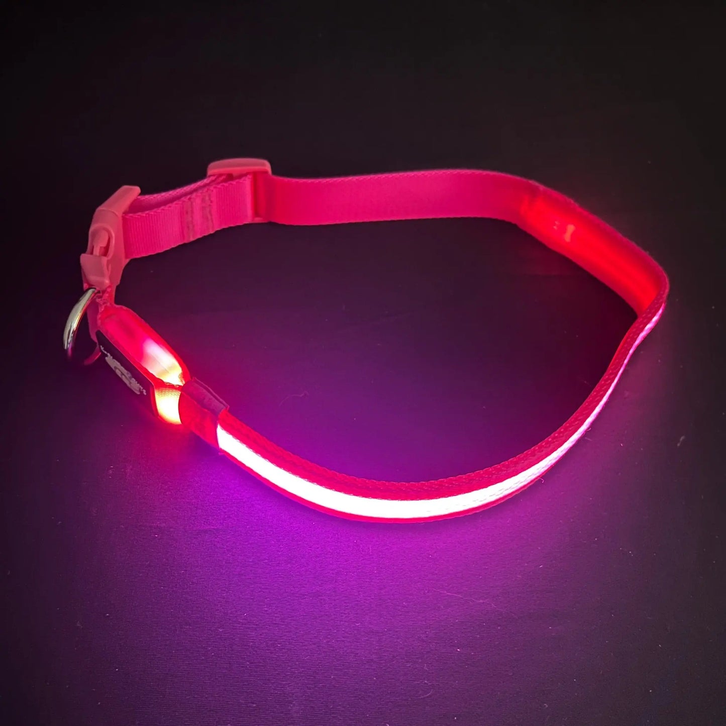 Pink Collar Best and Brightest LED Dog Collars k9ightlights Pet Supply Store