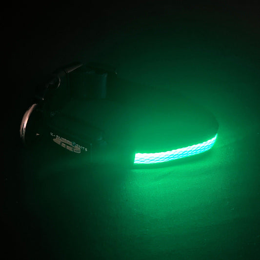 Green Collar Best and Brightest LED Dog Collar k9ightlights Pet Supply Store