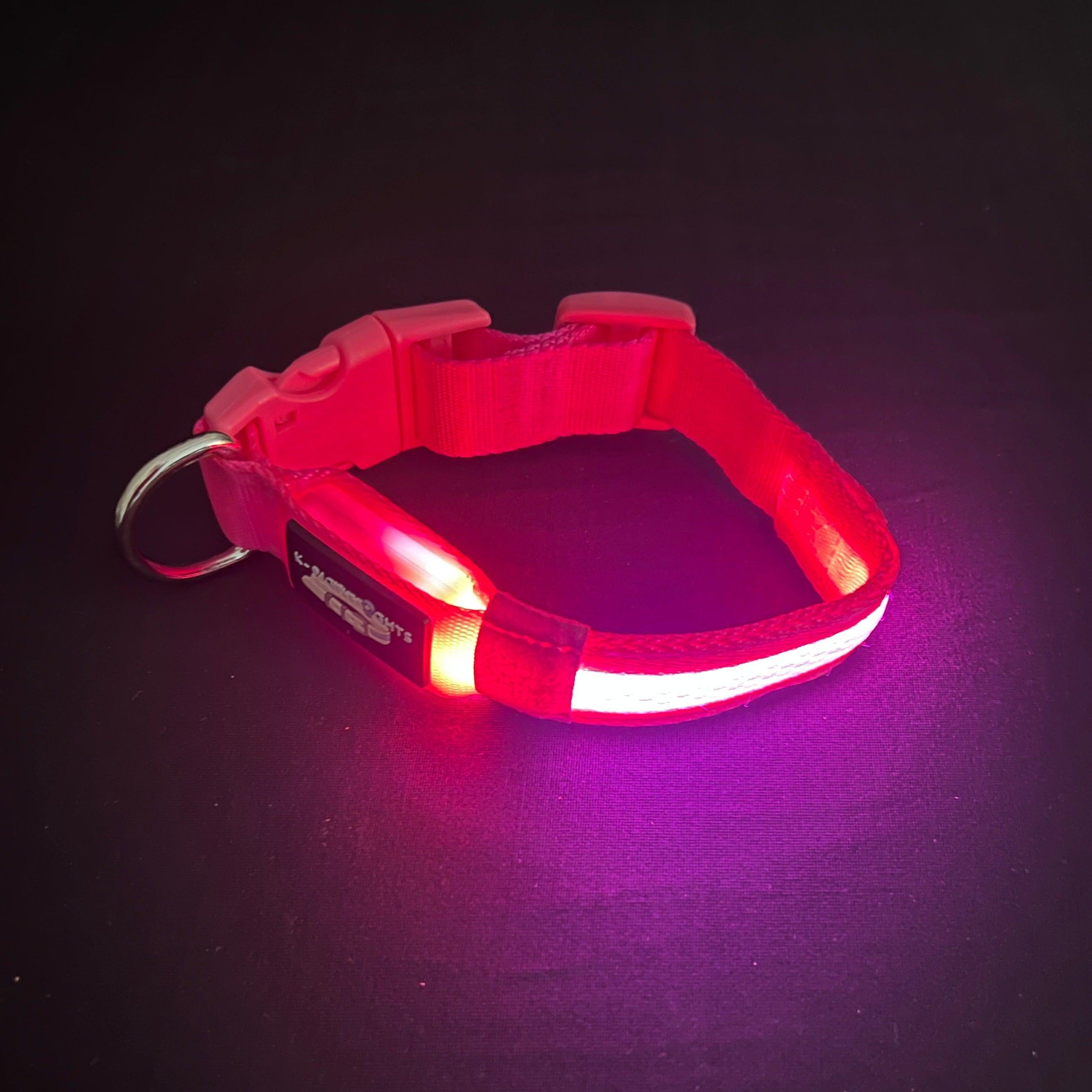 Fashion lights for dog collar