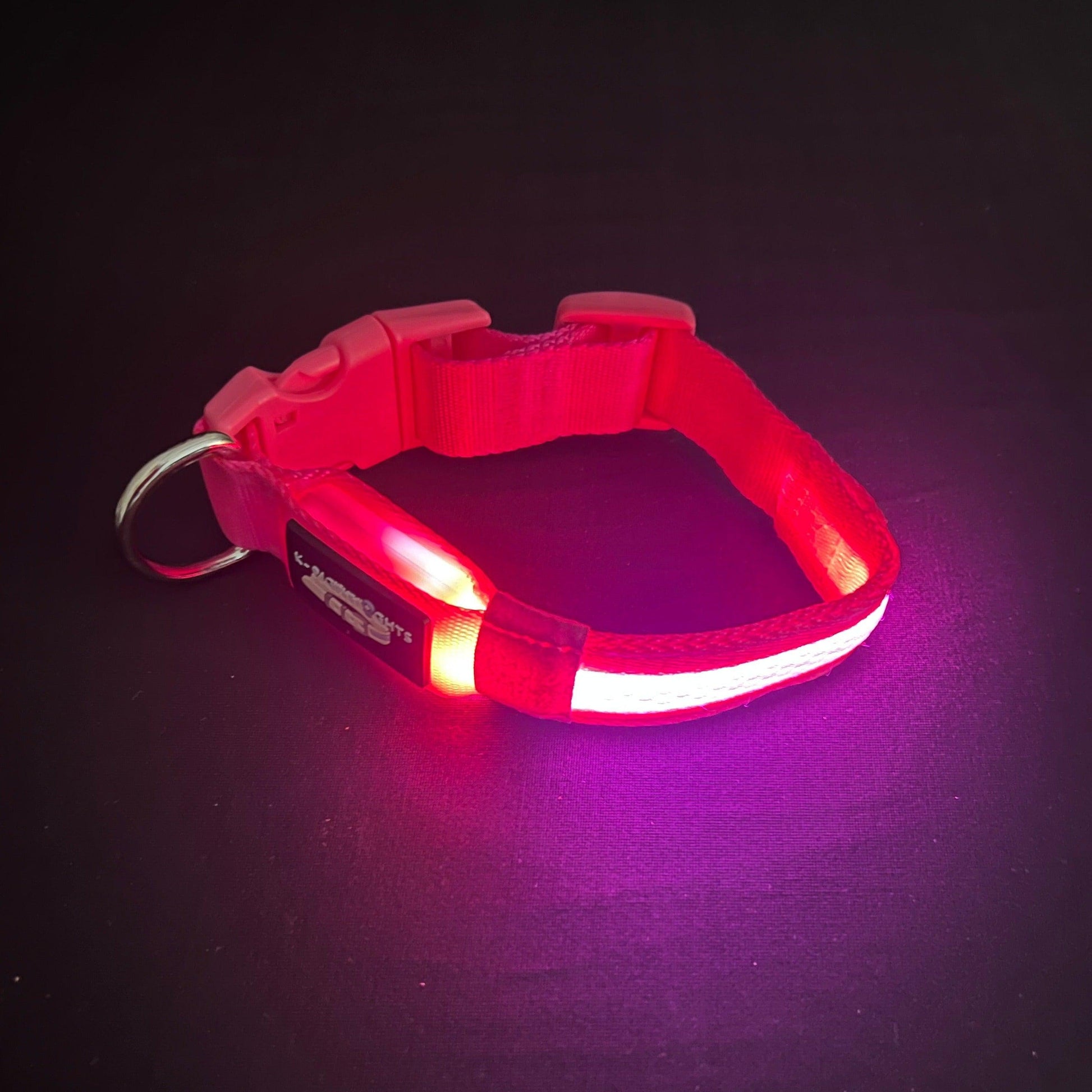 Pink Collar Best and Brightest LED Dog Collars k9ightlights Pet Supply Store