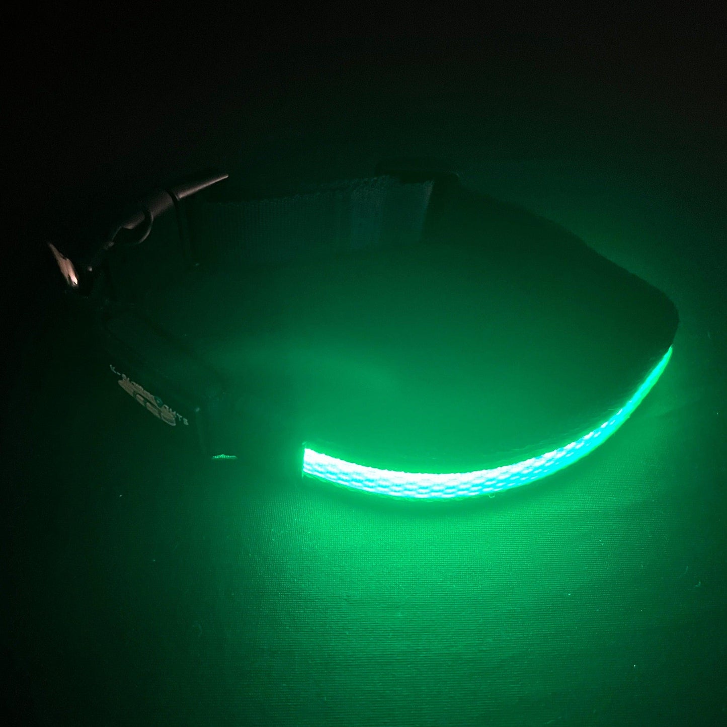 Green Collar Best and Brightest LED Dog Collars k9ightlights Pet Supply Store
