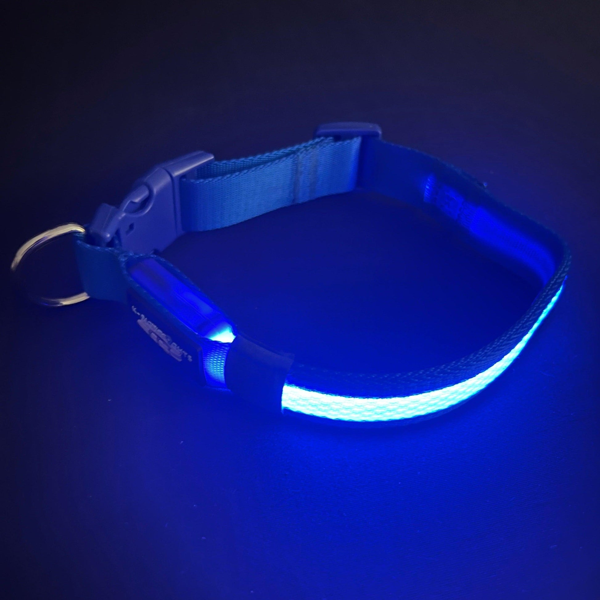 Blue Collar Best and Brightest LED Dog Collars k9ightlights Pet Supply Store