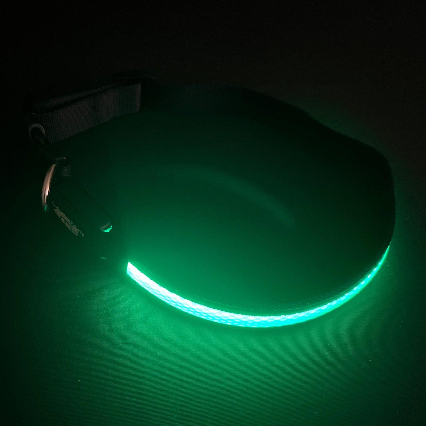 Green Collar Best and Brightest LED Dog Collars k9ightlights Pet Supply Store