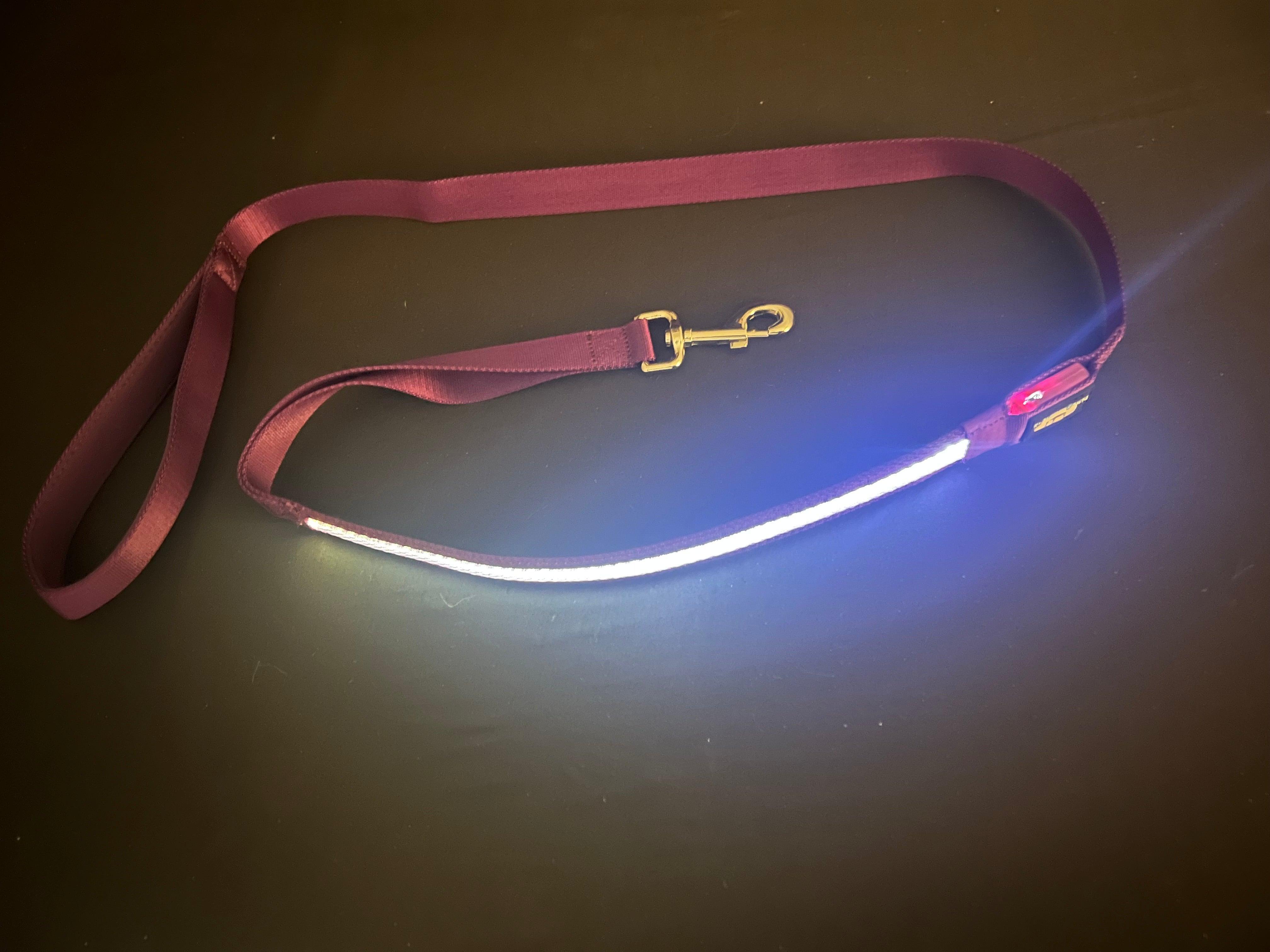 Led light outlet dog leash